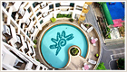 Phuket hotel, Phuket town hotel, ipavilion Phuket, Thailand